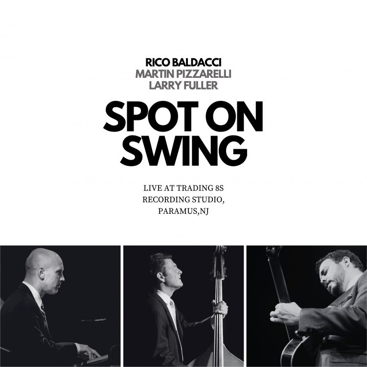 Spot on Swing (2017)
